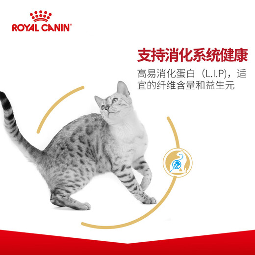 Jiajiayun Royal Cat Food Bengal Leopard Cat Adult Cat Food BA272KG Cat Staple Food Wholesale Randomly Delivered