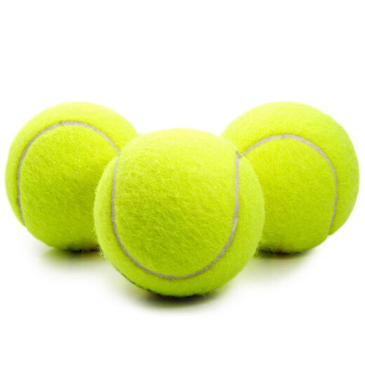 Dog Toy Ball Golden Retriever Teddy Bouncy Ball Teeth Resistant Tennis Pet Puppy Labrador Puppy Training Pet Tennis Ball 2 Pack