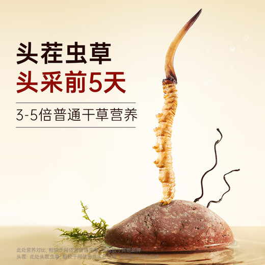 阿依舍 头茬冬虫夏草 新干虫草滋补品节日送父母礼物营养品高端礼盒 15克4根/克【送礼自用礼盒】
