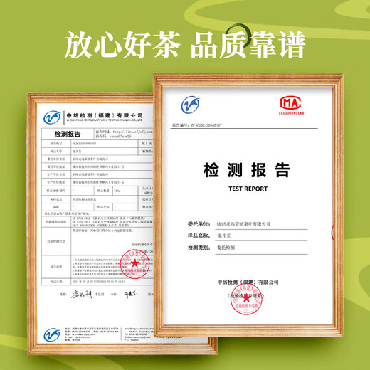 Erster Jiangnan 2025 neuer Tee Green Tea Longjing 200g Mingqian Tee Geschenkbox Konserven Frühling Tee Sprout