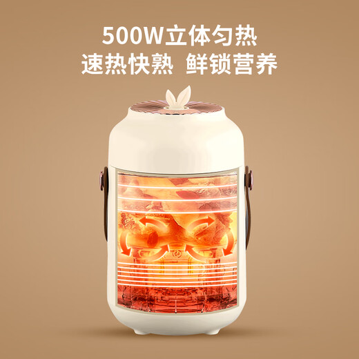 Aishal souvenir doctor's day gift health pot electric stew cup gift box to give teachers and staff prizes birthday school banquet gifts high-end business gift custom souvenir purple company anniversary event to give customers employee prizes retirement souvenirs