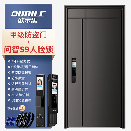 欧帝乐（OUDILE）新款加高4级防盗门入户门+内外双色家用子母门暗铰链进户门+搭配多种智能锁人脸锁 问智S9人脸锁 2250*1050