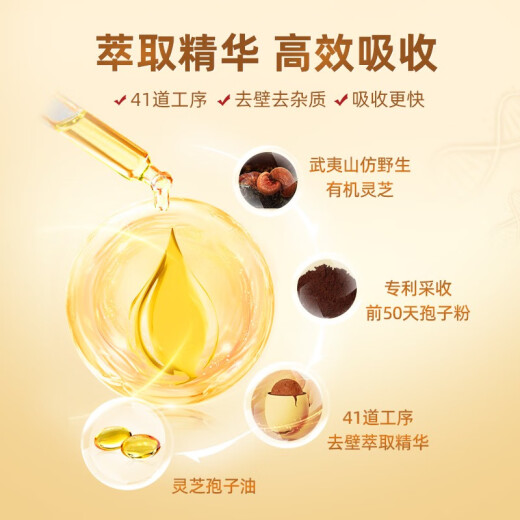 仙芝楼灵芝孢子油软胶囊破壁灵芝孢子粉精华增强免疫 高三萜 国标制定 1盒 30g 60粒 【10倍萃取浓缩】