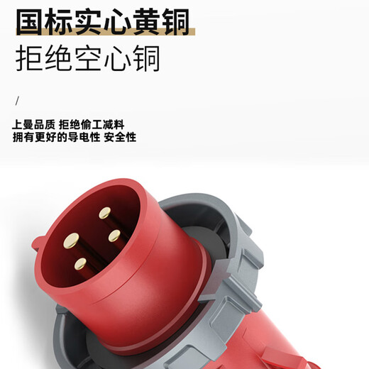 上曼电气工业插座插头NENMMAN航空户外明装暗装防水插座 16A-125A 1479(暗装斜插16A4PIP67)