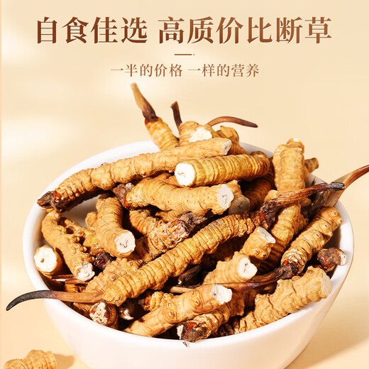 源江草冬虫夏草大号断草35克断虫草 滋补品送长辈家庭装【好滋补认证】