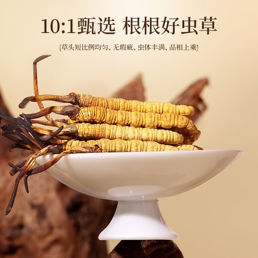 紫蓝花海冬虫夏草 新干虫草礼盒装精选干度足送礼物 3-4根/克 20根装
