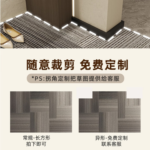 入户门地垫2024新款感进门门口脚垫防滑耐脏门外门垫玄关地毯 静波-竖版15926 80cm*120cm【入户小尺寸】