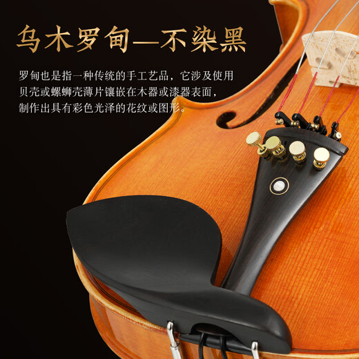 Finelegend Violin Kinder für Erwachsene Anfänger Praxis Professionelle Bewertungsuntersuchung L7 4/4