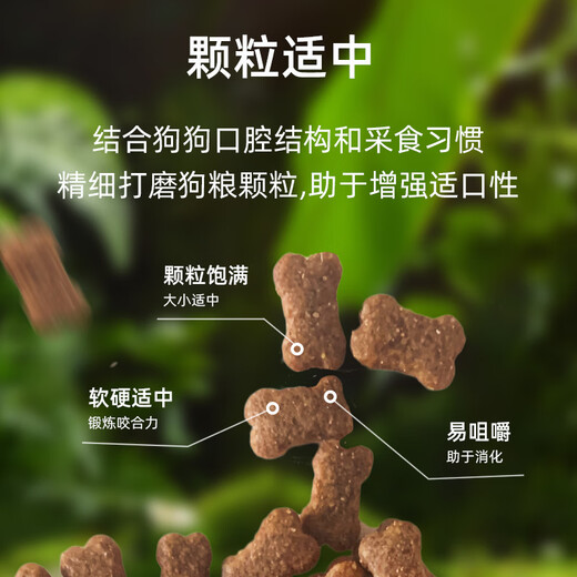 Jingqi Grain-Free Fresh Meat Dog Food for All Stages of Adult Dogs and Puppies, Medium-sized Dogs and Large Dogs, Full-price Universal Freeze-Dried Natural Dog Food, Full-price Universal Dog Food 100Jin Jin is equal to 0.5kg (Freeze-dried Seven Pieces)
