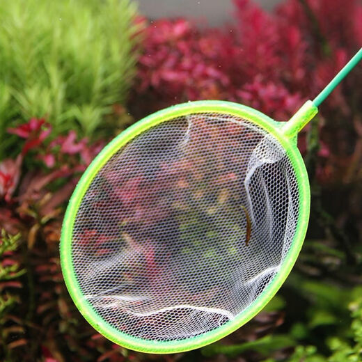 Jingdong Logistics Fish Tank Fishing Net Fishing Fish and Shrimp Fishing Dense Net Handmade Net Household Telescopic Fishing Net Fishing Net 0.3m 7cm Multifunctional Fishing Net 10 Pack