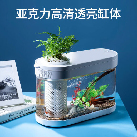 Drawing method geometric intelligent ecological lazy fish tank C180 living room small fish tank filter with light one-click water change 38cm long