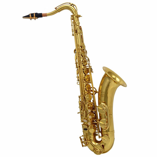 JINYIN TENOR SAXOPHONE BANDE DE DROIT BANDE DE DIRECTION BÉRIELLE BÉRICALISTIQUE PERFORMANCE JYTS E100