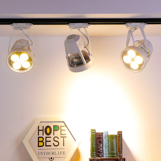 Yilin clothing store spotlight par30led track light store commercial exposed ceiling rail cob background wall spotlight 40w white shell white light-Feixin