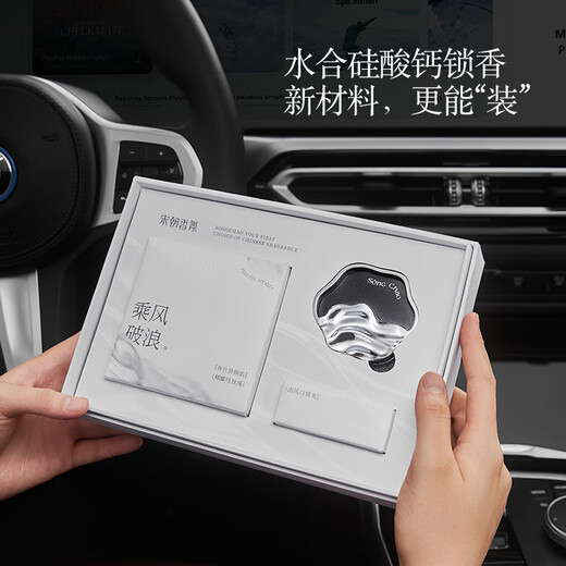 Song Dynasty Tinghai Mist Forest Car Aromatherapy Gift Box Car Air Outlet Car Perfume Fragrance Air Purification Gift Spring Rain Tea Gift Box, 2 Fragrance Tablets