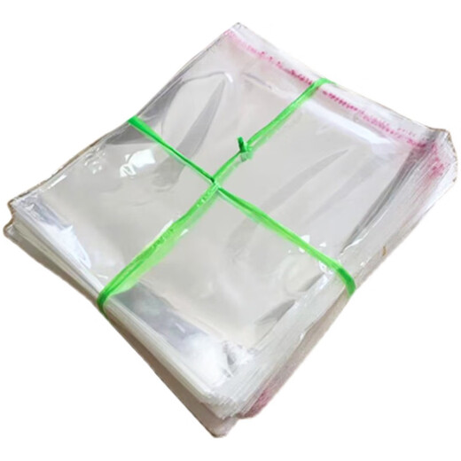 惠利得定制OPP不干胶自粘袋透明小号包装袋5丝自封袋子饰品包装袋1000只 913CM（内长10） 双面5丝常规
