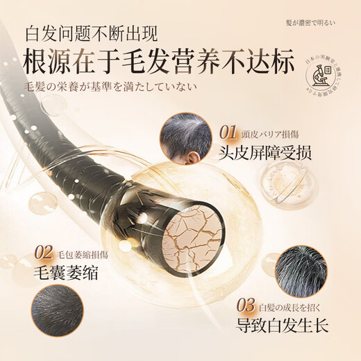 Eleytele日本进口黑灵芝何首乌洗发水白头发转养黑治发根养发自然黑洗发露 从白到黑【300ml/瓶】