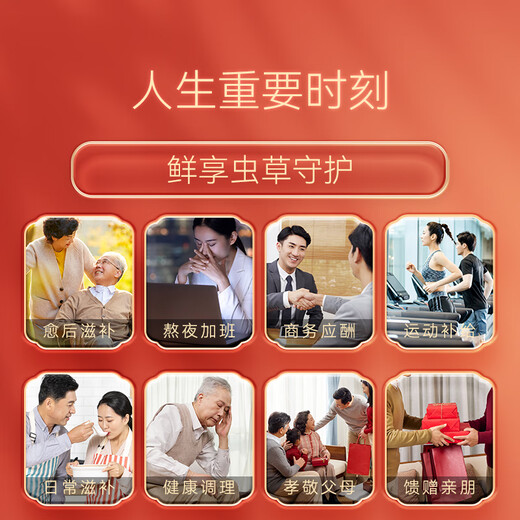 东阳光冬虫夏草2-3根/g50g约125根滋补礼盒冬虫草营养品补品送长辈老人