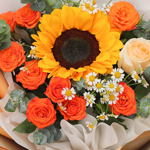 Airi Flowers delivers sunflower bouquets in the same city, birthday flowers, meeting flowers, New Year gifts for girlfriends, flowers delivered by flower shops (afternoon sunshine), the best-selling sunflower mix and match flower gifts on the Internet