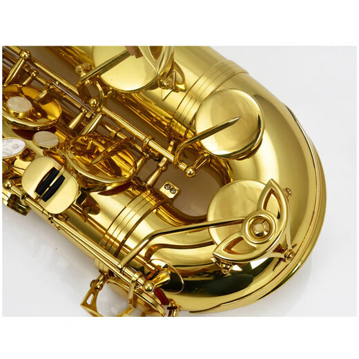 JINYIN TENOR SAXOPHONE BANDE DE DROIT BANDE DE DIRECTION BÉRIELLE BÉRICALISTIQUE PERFORMANCE JYTS E100