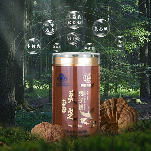 长白山正宗蓝帽破壁灵芝孢子粉椴木赤灵芝孢子粉林芝产地直发 老巴头蓝帽破壁高含量孢子粉 净含量250克【一罐】