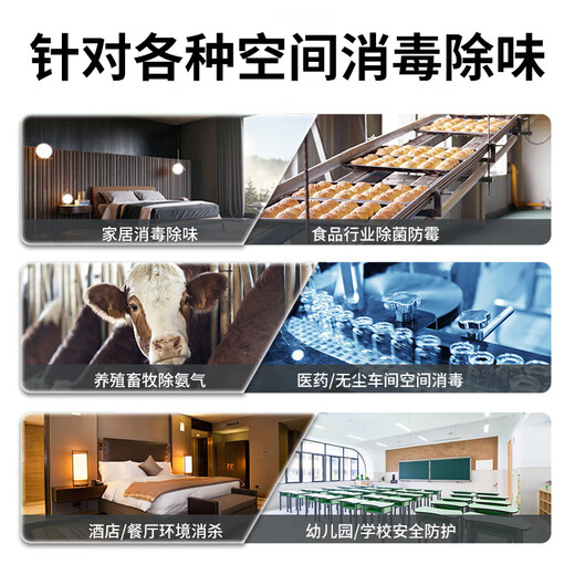 EVANLEY German ozone generator sterilizer household air purifier industrial food factory car sterilization and formaldehyde removal 10g/h (80 square meters)