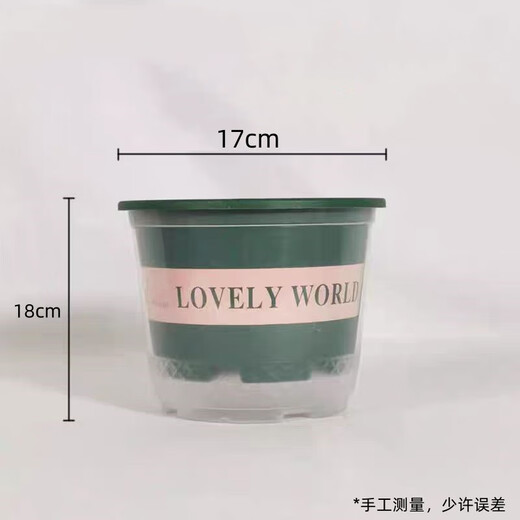 Xingxiang green radish potted hydroponic green plants for new houses, formaldehyde-removing plants, 180# gallon pots, 4 pots + water-absorbing pots, straight from the source