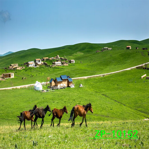 莎庭（SARTILL）主播背景布3D立体网红直播间背景山水户外风景背景布 ZP-11162 3米宽+3米高