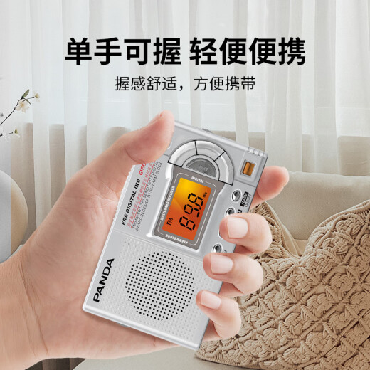 熊猫（PANDA）6169小收音机老人专用老式全波段fm调频广播老年便携式袖珍迷你小型时钟闹钟应急战备半导体干电池 6169【全波段/定时开机/大音量】