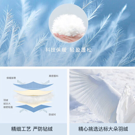 Jeanswest 85 Down Jacket Women's Lightweight Short Spring Autumn Stand Collar Slim Fit Warmth Slim Plush Jacket Women Black M