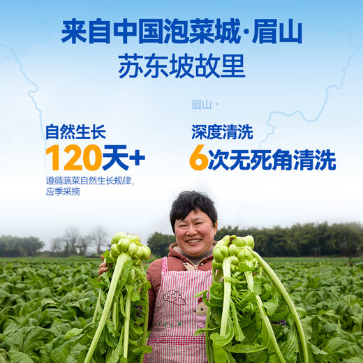 Jixiangju Zhenxin pickled mustard, salt-reduced pickled mustard, 0 added fat, 25g*20 bags, pickles to go with meals, light pickled mustard