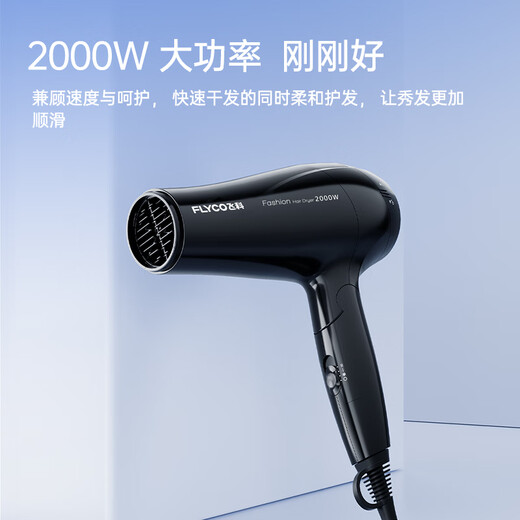 Secador de pelo de flyco para el hogar Aire caliente y fría cuidado de aire frío para el cabello seco de secado rápido 2000W Alta potencia FH6231