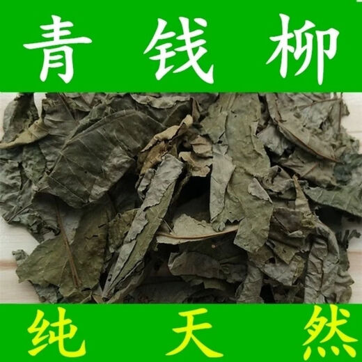 官方旗舰店正品青钱柳原叶茶金钱柳茶叶无糖养生茶江西修水原生态 250克