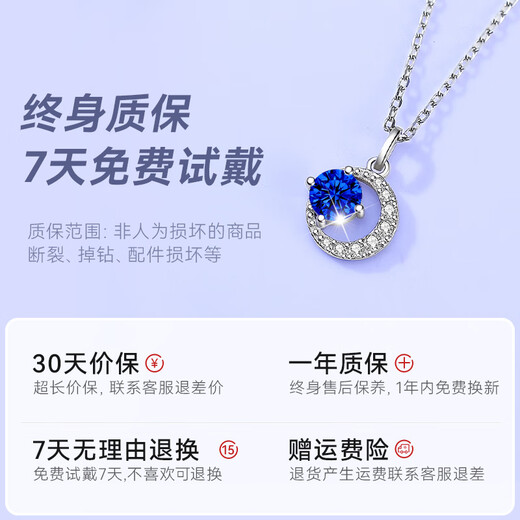 The only (Winy) sterling silver necklace, women's pendant, birthday and Valentine's Day gift for girlfriend and wife, silver jewelry, light luxury niche