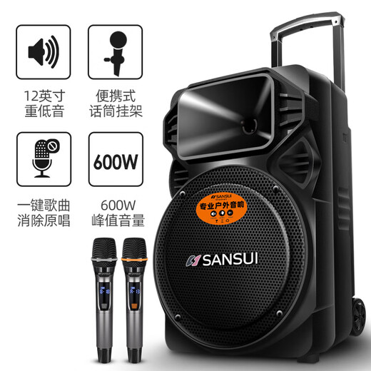 SANSUI A12-66 12-inch square dance speaker outdoor karaoke subwoofer Bluetooth speaker portable karaoke mobile stage trolley speaker high-power amplifier flagship version (12-inch subwoofer + dual microphones)