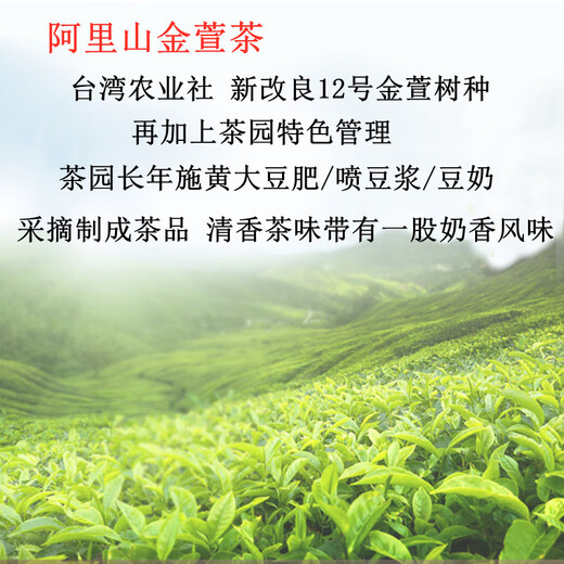 平茗阿里山金萱茶2025新茶台湾原产高山茶叶奶香乌龙茶600g原装清香型