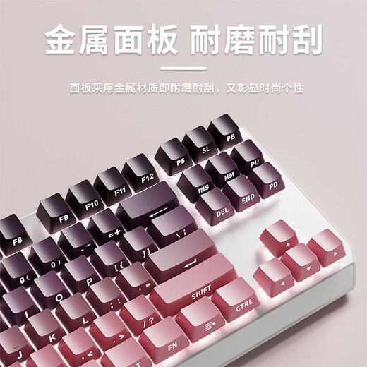 前行者（EWEADN）TK870无线蓝牙机械键盘鼠标套装有线三模可选黑莓侧刻高颜值客制化办公游戏电脑笔记本平板iPad用 银白正刻87键白光【有线键盘】 茶轴【办公码字】