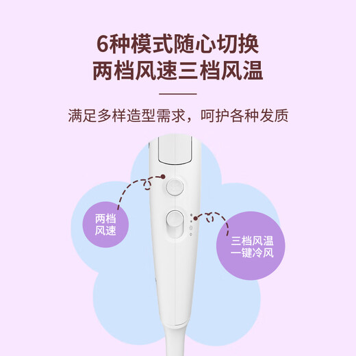 Philips hair dryer vitality small flower tube household 2100W high power hair dryer foldable constant temperature hair care 20 million negative ion hair dryer birthday gift BHD356/45