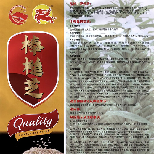 Sesame seed sticks, capsula, dense and long-lasting, disease-resistant and lodging-resistant, black sesame seeds for sowing in spring, summer and autumn, high-oil eight-edged sesame king original 200g eight-edged
