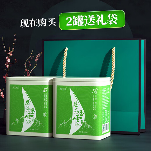 Mr. Cha'er Mingqian Special Grade Enshi Yulu Green Tea 2024 Spring Tea Steamed Young Tea with Strong Chestnut Flavor Special Yulu 125g*2 Cans