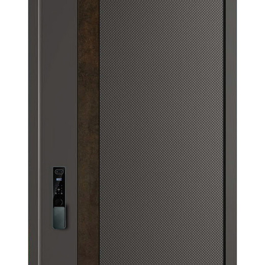 帝卡西DKX-喜玛拉雅2050*960防盗门安全门入户门智能门轻奢户门