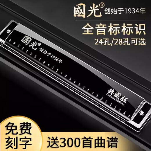 国光德国进口音簧国光重音口琴复音初学者高端成人专业演奏级高级送礼 28孔 蓝色复音C调 专业演奏级