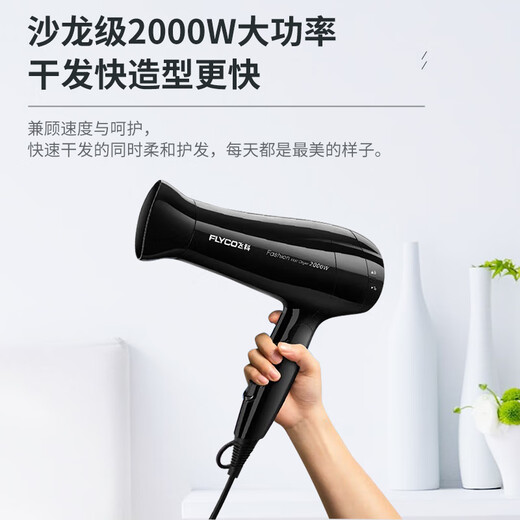电吹风机家用大功率恒温负离子护发大风力发廊速干风筒FH6231 FH6276[1800W负离子护发 过热保