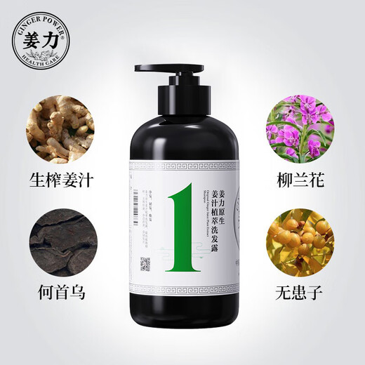 姜力洗发水去屑控油清洁姜力1号生姜洗发水2瓶装（500ml*2）男女通用
