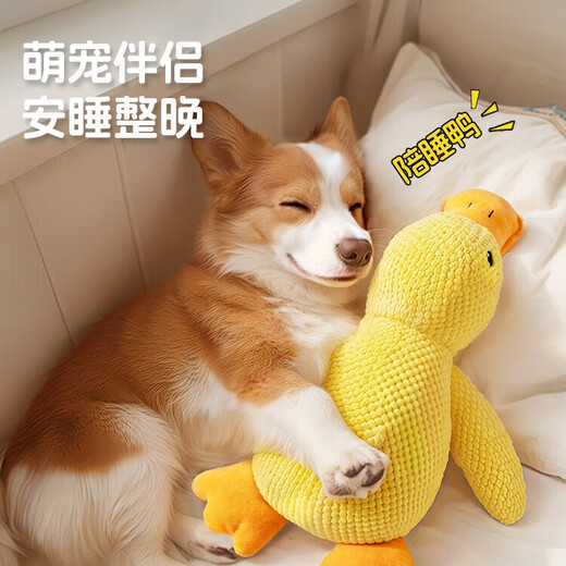 HuanChong.com pet dog toy for dogs to play with to relieve boredom, self-pleasure, resistant to chewing, grinding teeth, making sounds for puppies and puppies, dog walking and amusing tool