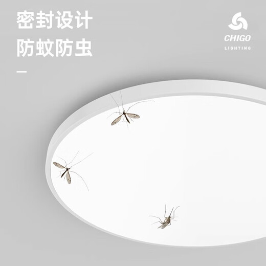Fanyao infrared human body sensor lamp ultra-thin three-proof ceiling-mounted lamp stair aisle corridor corridor light smart lamp 48W-human body sensor