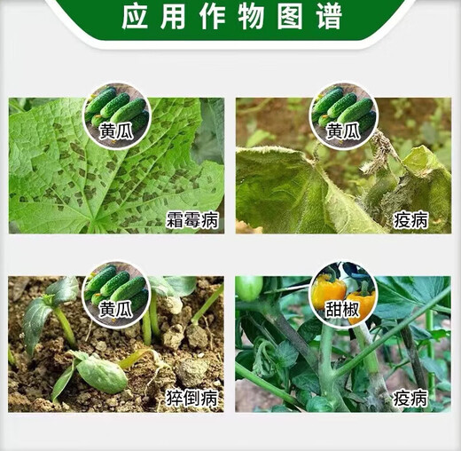 Bayer Germany Bayer Purik propamocarb hydrochloride cucumber damping-off disease downy mildew pesticide fungicide 100ml