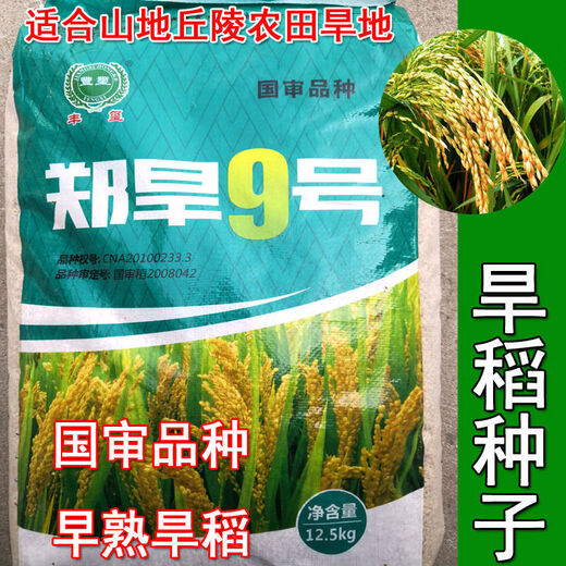 Upland rice seeds Zhenghan No. 10 Yield per kilo Jin Jin is equal to 0.5 kilograms Indica rice Luodao 998 Direct-seeded rice conventional rice seeds Dan upland rice 53-500 grams