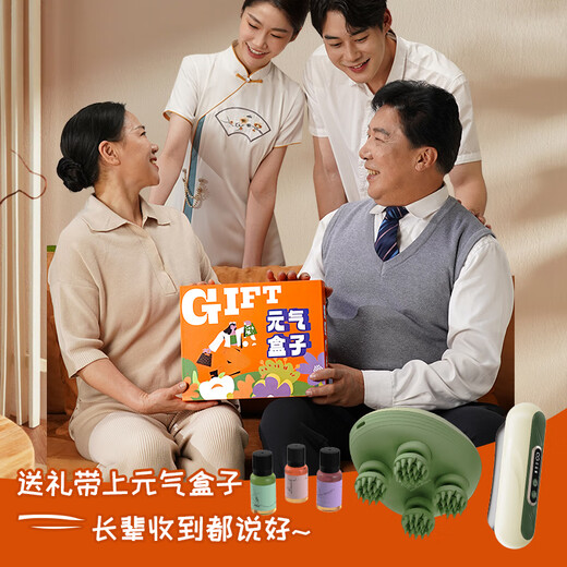 Hezheng Yuanqi Box Exquisite Gift Box Head Massager Scalp Massager Cat Claw Kneading Electric Gua Sha Board Holiday Gifts for Family and Elders Yuanqi Box HZ-BOX-3