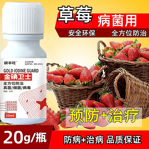 Gengfengwang strawberry disease special strawberry treatment medicine, downy mildew, powdery mildew, anthracnose, root rot, gray mold, leaf spot, fruit rot 500ml (30 acres)