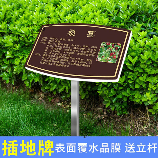 Plant introduction sign, tree sign, Chinese herbal sign, animal introduction sign, plant science sign, custom outdoor style 4, modified wording 20x30cm
